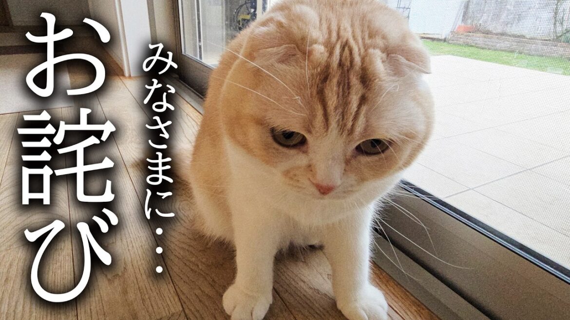 【謝罪】みなさん本当に申し訳ございませんでした 【謝罪】みなさん本当に申し訳ございませんでした