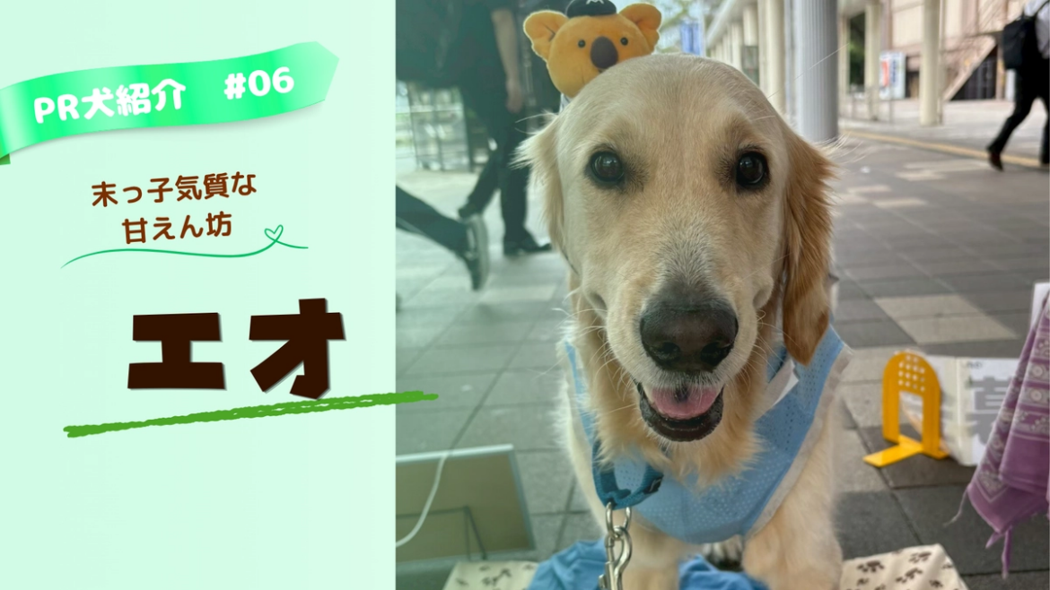 PR犬紹介#06 エオ ～末っ子気質な甘えん坊～ 2026/07/18 | 介助犬とこの夏を共に乗り越えるために獣医療費とフード代のご支援を！（認定NPO法人兵庫介助犬協会
