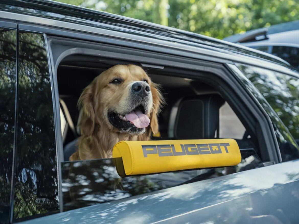【愛犬ファースト】プジョーが犬の視点で設計したコンセプトカー「E-5008 ドッグエディション」。ワンコ専用「あごのせ」や迷った犬を呼び戻す機能を装備 – Life in the FAST LANE. プジョー E-5008 ドッグエディション・コンセプトのサイドウインドウ