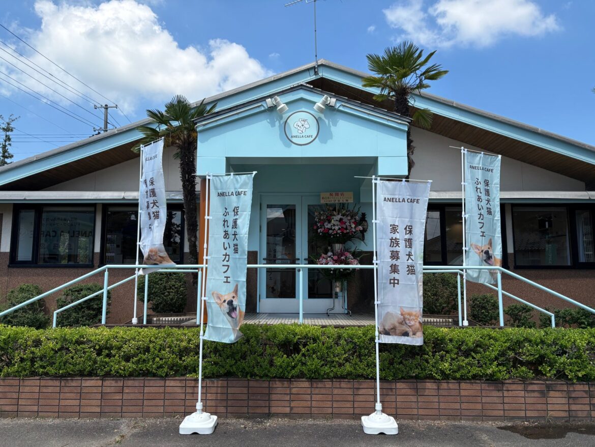 【新潟県初陸上!】全国41店舗を達成した「ANELLA CAFE」が新発田市に誕生!保護犬猫と心通う癒やしスペースが8月8日(土)オープン! | 株式会社ANELLA Groupのプレスリリース 【新潟県初陸上!】全国41店舗を達成した「ANELLA CAFE」が新発田市に誕生!保護犬猫と心通う癒やしスペースが8月8日(土)オープン! | 株式会社ANELLA Groupのプレスリリース