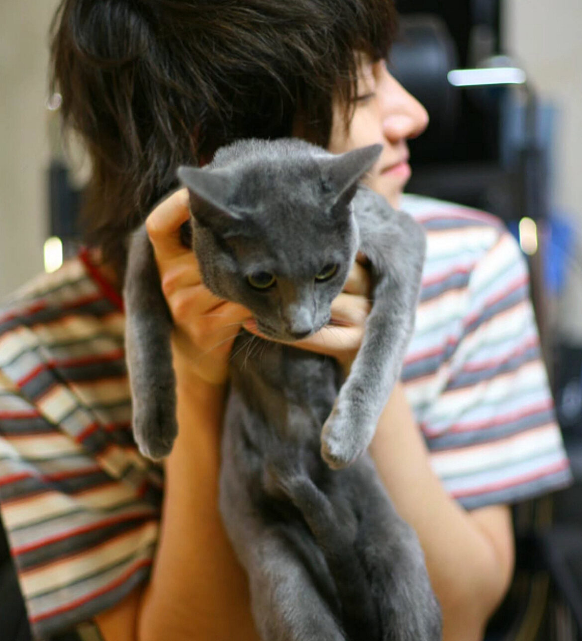 キム・ヒチョル、20年共に過ごした飼い猫ヒボムを送り出した..「どうすればいいのか」 | STARNEWS キム・ヒチョル、20年共に過ごした飼い猫ヒボムを送り出した..「どうすればいいのか」 | STARNEWS