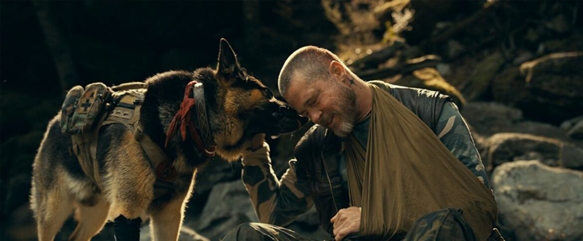 ハリウッドきっての犬好き!『ハート・オブ・ビースト』の熱演も納得のブラピの愛犬家伝説|最新の映画ニュースならMOVIE WALKER PRESS ハリウッドきっての犬好き!『ハート・オブ・ビースト』の熱演も納得のブラピの愛犬家伝説|最新の映画ニュースならMOVIE WALKER PRESS