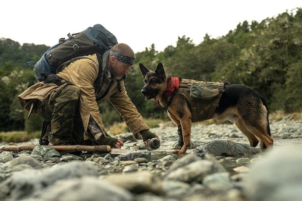 【写真を見る】相棒オーディン役には“犬界のブラッド・ピット”のような顔立ちのジャーマン・シェパードをキャスティング(『ハート・オブ・ビースト』)