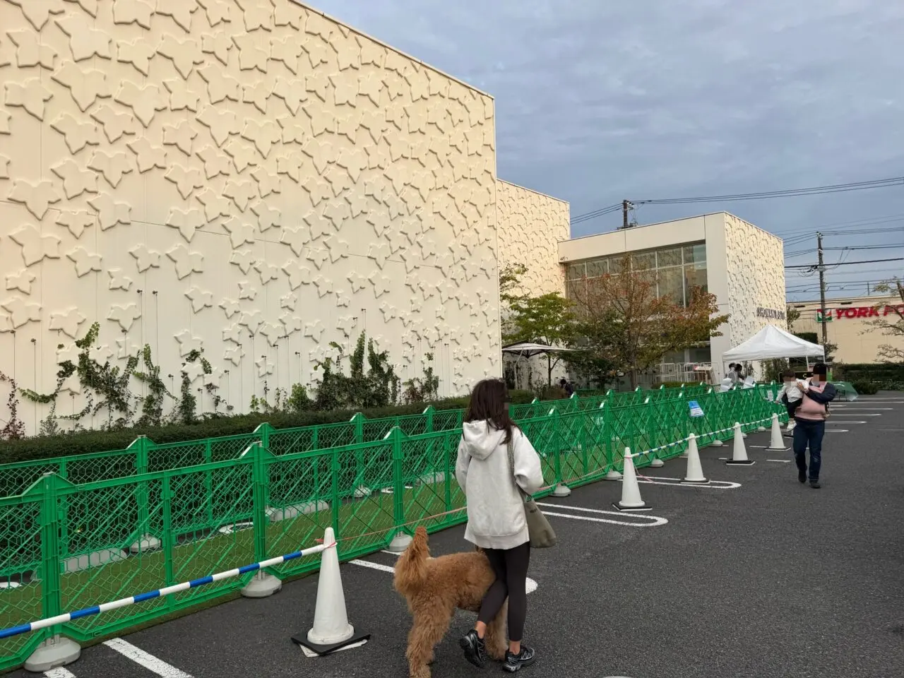 【藤沢市】湘南T-SITEで「第4回 Happy Dog Day」が予定通り10月25日に開催されます！ 愛犬と楽しむドッグイベント♪