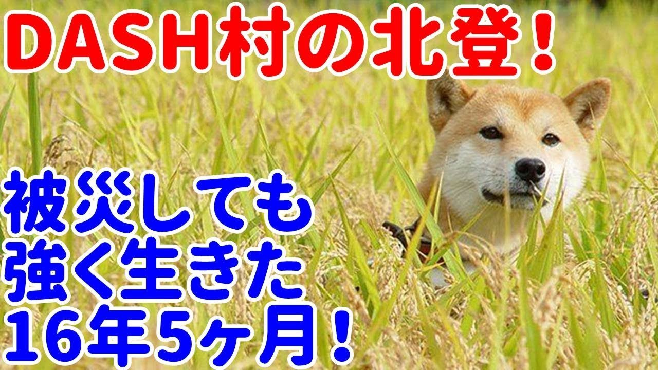 鉄腕ダッシュのマスコット福島dash村の北登が Tokioやスタッフの愛情に涙が止まらない Videos Wacoca Japan People Life Style 鉄腕ダッシュのマスコット福島dash村の北登が Tokioやスタッフの愛情に涙が止まらない Videos Wacoca Japan People Life Style