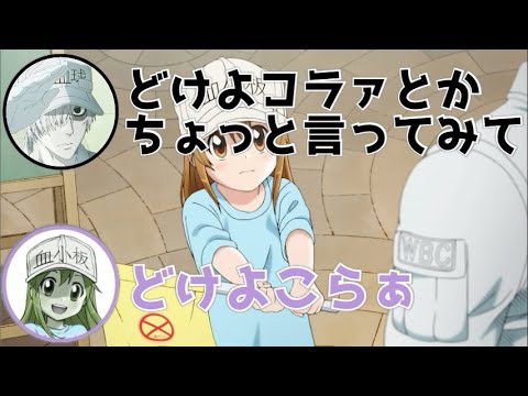 血小板の暴言wwwめっちゃ可愛いwww 前野智昭 長縄まりあ Videos Wacoca Japan People Life Style 血小板の暴言wwwめっちゃ可愛いwww 前野智昭 長縄まりあ Videos Wacoca Japan People Life Style