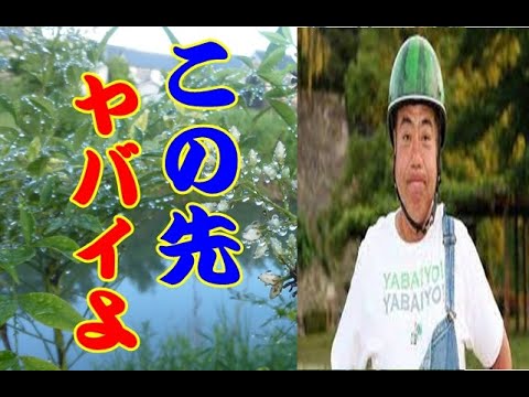 出川哲朗さん 今後の出演がヤバイよ 視聴率や年収も凄い Videos Wacoca Japan People Life Style 出川哲朗さん 今後の出演がヤバイよ 視聴率や年収も凄い Videos Wacoca Japan People Life Style