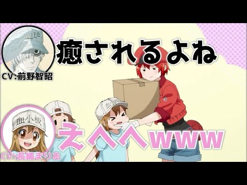 声優文字起こし 2ページ目 8ページ中 Videos Wacoca Japan People Life Style