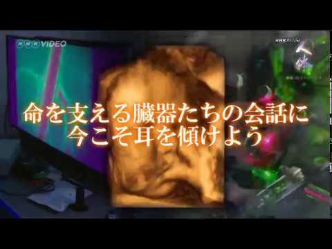 Nhkスペシャル 人体 神秘の巨大ネットワーク pr動画 Videos Wacoca Japan People Life Style Nhkスペシャル 人体 神秘の巨大ネットワーク pr動画 Videos Wacoca Japan People Life Style