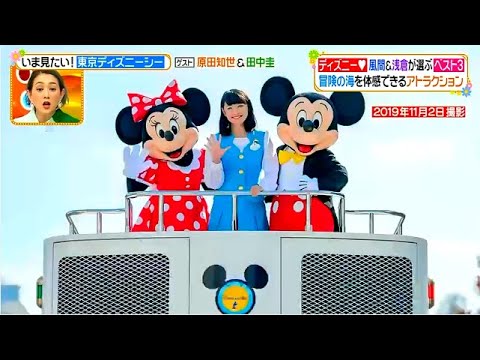 ヒルナンデス 21年12月10日風間俊介 浅倉大介が厳選 東京ディズニーシーおすすめベスト3 Full Show Videos Wacoca Japan People Life Style