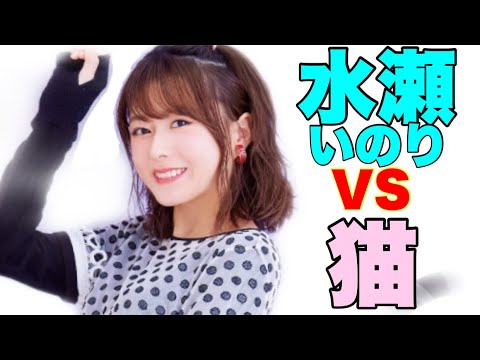 水瀬いのり 大西家の猫にマウントをとられる水瀬いのりさんwww 大西沙織 水瀬いのり 大西沙織 猫 Videos Wacoca Japan People Life Style