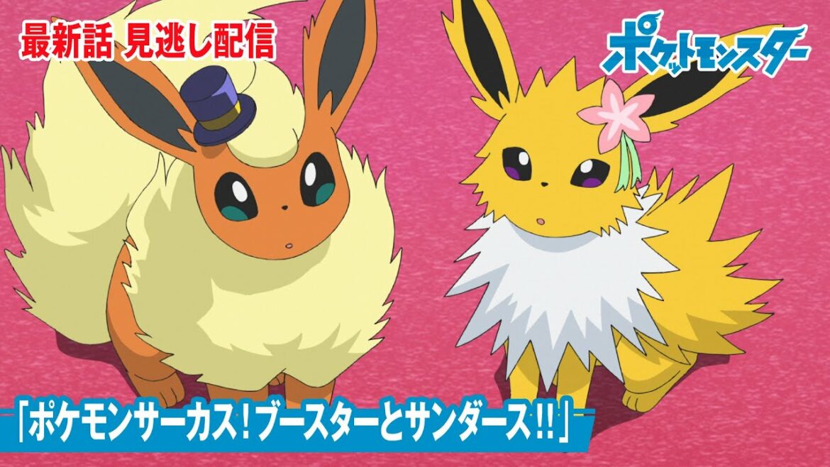 公式 アニメ ポケットモンスター 第98話 ポケモンサーカス ブースターとサンダース 見逃し配信 Videos Wacoca Japan People Life Style