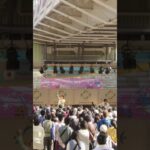 いきものがかり「SAKURA」from ２⼈体制で“STAR” トしまSHOW!! #Shorts