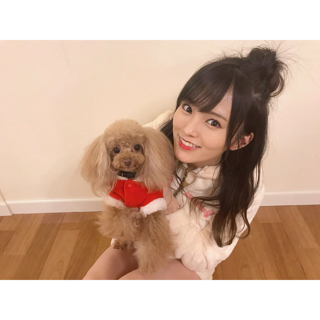 山本彩 メリークリスマス ᴗ Merrychristmas サンタ 音遠 Wacoca Japan People Life Style