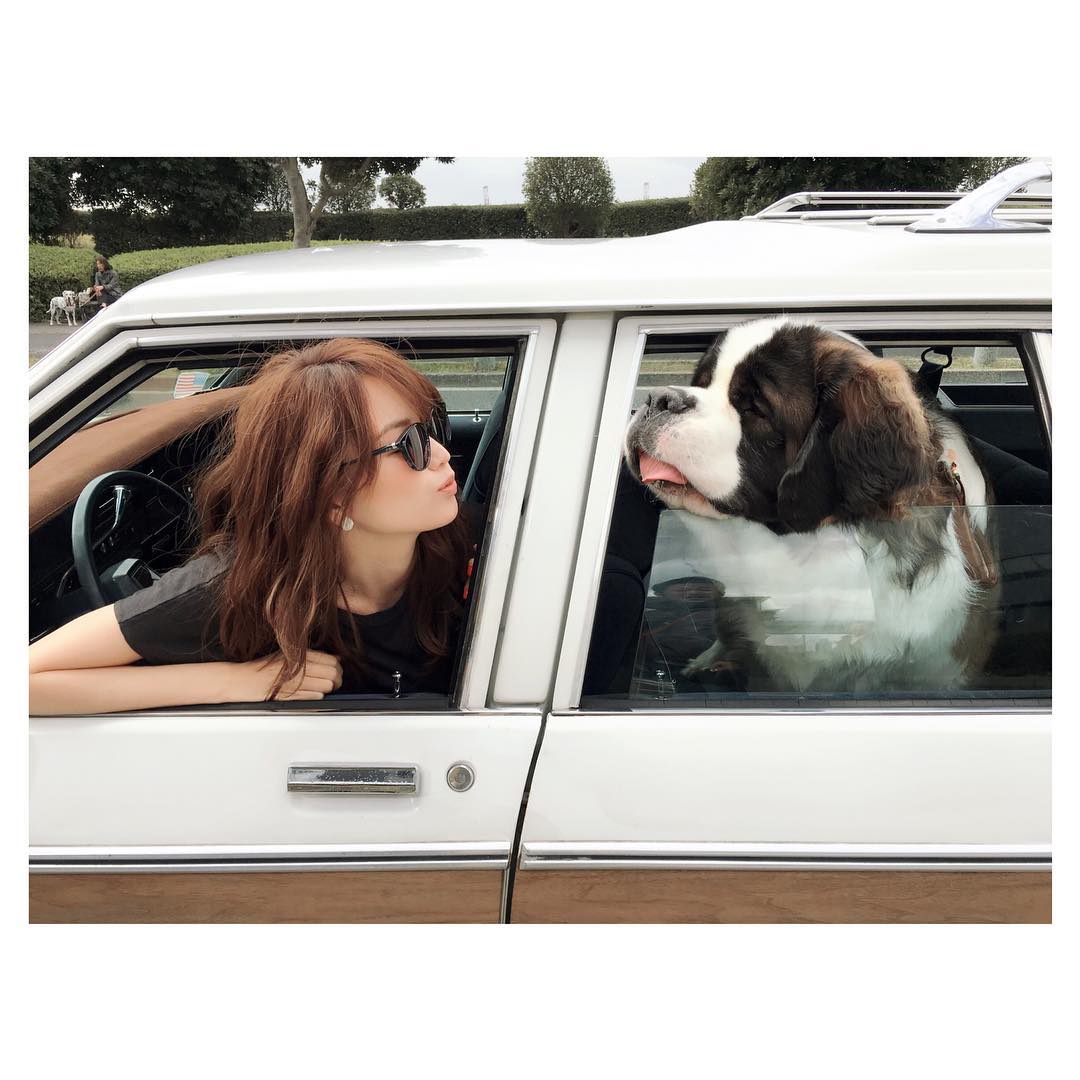 蛯原友里 Chu セントバーナード 大きい 犬 可愛い Wacoca Japan People Life Style
