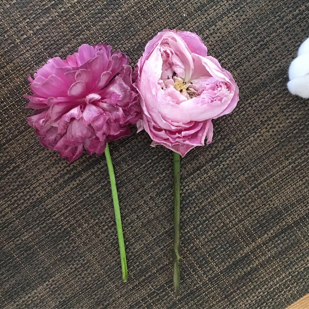 石田ゆり子 一輪挿しに挿していた 花たちが枯れた 花は枯れるから美しいと いうけれど 枯れない花は わたしはぜんぜん興味ないけど 枯れた花を捨てるとき かわいそうで心 Wacoca Japan People Life Style