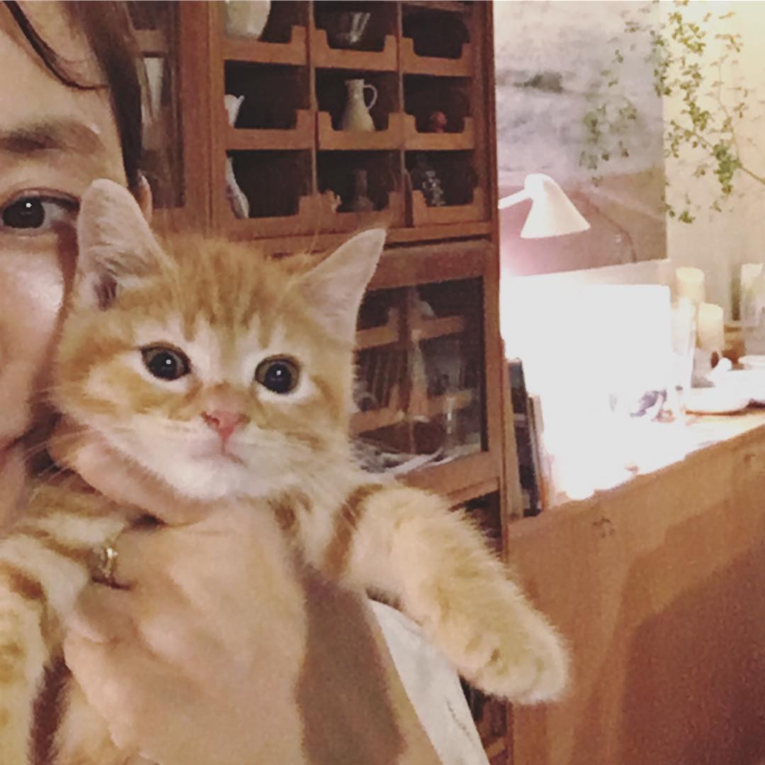 石田ゆり子 ちなみにこのこが はっちです Wacoca Japan People Life Style