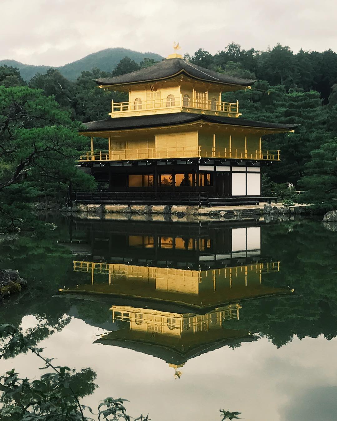中尾明慶 かっこいい 金閣寺 ここは私のパワースポットではない Wacoca 中尾明慶 かっこいい 金閣寺 ここは私のパワースポットではない Wacoca