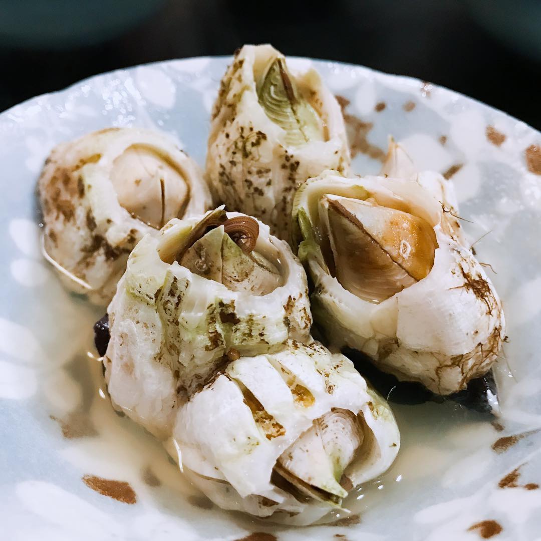 水嶋ヒロ Tasting Fujitsubo For The First Time フジツボ Barnacles 珍味 Delicacies 青森 Aomo Wacoca Japan People Life Style 水嶋ヒロ Tasting Fujitsubo For The First Time フジツボ Barnacles 珍味 Delicacies 青森 Aomo Wacoca Japan People Life Style