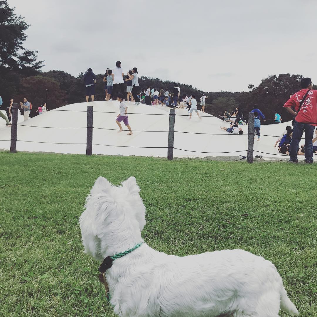 滝沢眞規子 公園気持ちいい うーちゃん帰ったらシャンプーね Wacoca Japan People Life Style 滝沢眞規子 公園気持ちいい うーちゃん帰ったらシャンプーね Wacoca Japan People Life Style