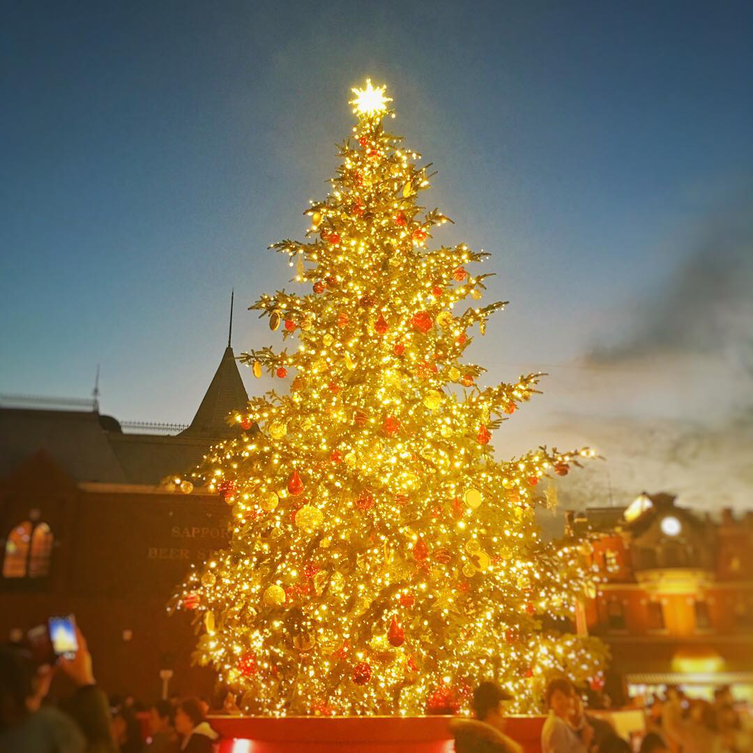 堀内敬子 クリスマスツリー イルミネーションも綺麗になってきましたね 色々なところに見に行きたいなぁ そろそろ舞台のお稽古も始まるので 準備しないとなぁ Wacoca