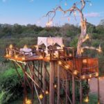 広大な公園に佇むロマンティックなツリーハウス。なんとこれは南アフリカにあるホテルの1室！！屋根も壁もない、360度サバンナに囲まれた究極のアウトドア体験は、開放...