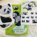 シャンシャンの切手をいただきました! 上野動物園のシャンシャン公開一周年を記念して12月に発売されたそうで、いつもお世話になっているヘアメイクの岡田いずみ @i...