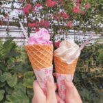ViVigirlのサワナカエリカです︎
毎日まいにち暑い日が続きますねそんな暑い夏におすすめなひんやりスイーツ︎宮古島のユートピアファームで食べたアイスクリーム...
