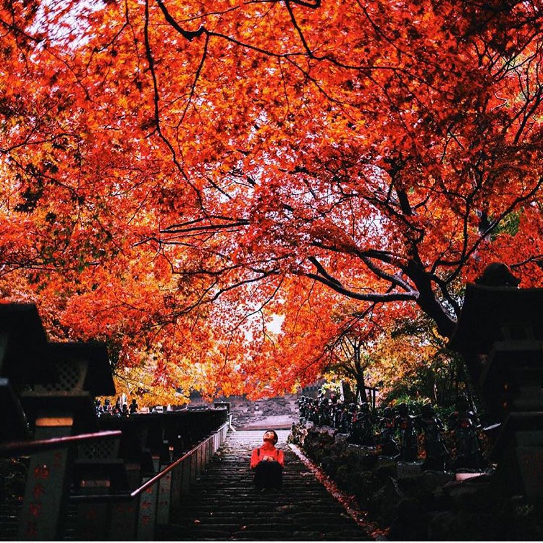 Retrip News Retrip 大山寺 大山寺は神奈川県伊勢原市にあるお寺 紅葉スポットとして有名です 紅葉 はちょうど今 見頃を迎えていて 日没からのライトアップもおすすめで Wacoca Japan People Life Style Retrip News Retrip 大山寺 大山寺は神奈川県伊勢原市にあるお寺 紅葉スポットとして有名です 紅葉 はちょうど今 見頃を迎えていて 日没からのライトアップもおすすめで Wacoca Japan People Life Style