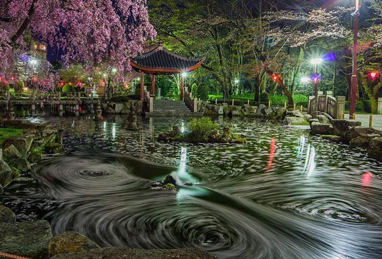 Retrip News Retrip 岐阜 日中友好庭園 とは 岐阜県の岐阜公園 内にある庭園で 人気お花見スポットです なんとここでは カメラのシャッター速度を調節することで 桜 Wacoca Japan People Life Style Retrip News Retrip 岐阜 日中友好庭園 とは 岐阜県の岐阜公園 内にある庭園で 人気お花見スポットです なんとここでは カメラのシャッター速度を調節することで 桜 Wacoca Japan People Life Style