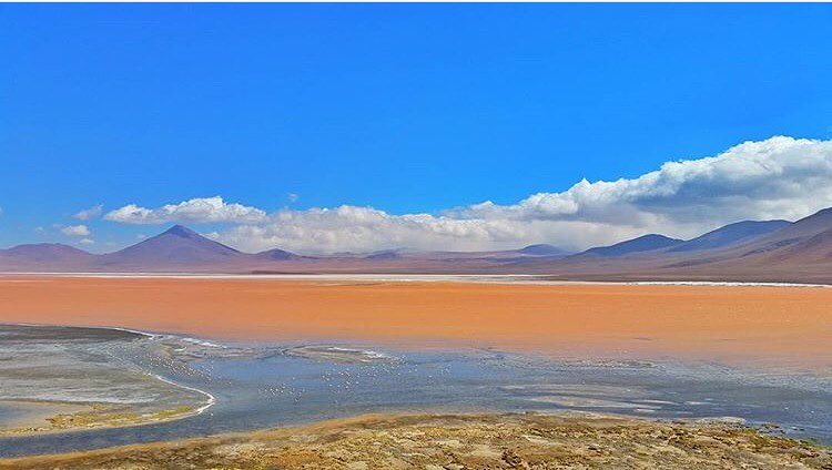Retrip Global Retrip ボリビア 幻想的なウユニ塩 湖が話題のボリビア 他にも美しい湖があるのをご存知ですか 本日ご紹介するのは 浅い塩湖 ラグナ コロラダ 藻類の赤 Wacoca Japan People Life Style