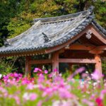 【RETRIP×奈良県】
こちらは、奈良県にある「般若寺」です。
歴史的風情を感じることのできるお寺とピンクの可愛らしいコスモスのコラボレーションが素敵なスポッ...