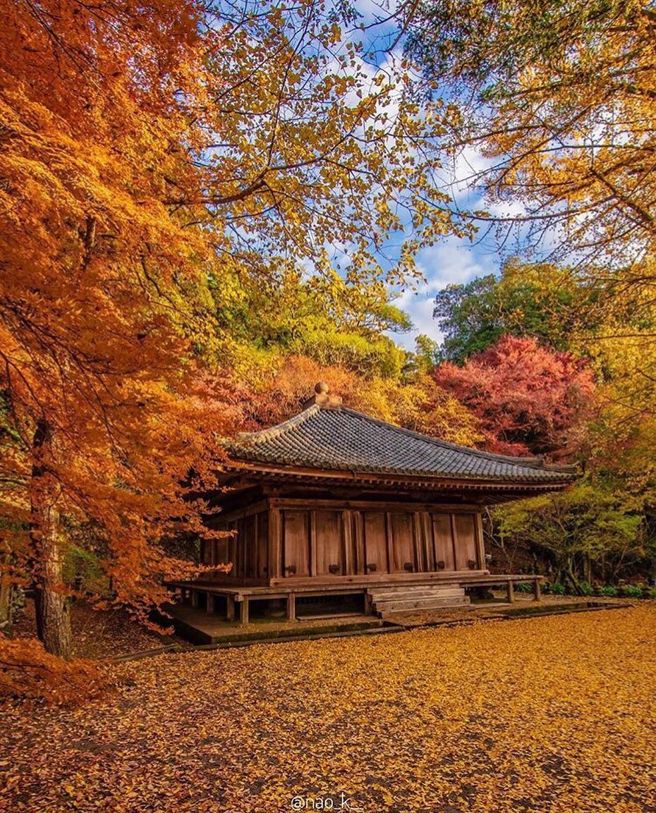 Retrip Nippon Retrip 紅葉 こちらは 718年創建と言われている 大分県豊後高田市にある富貴寺です 11月下旬 12月上旬に 紅葉の見頃を迎えるそうですよ 是非訪れて Wacoca Japan People Life Style Retrip Nippon Retrip 紅葉 こちらは 718年創建と言われている 大分県豊後高田市にある富貴寺です 11月下旬 12月上旬に 紅葉の見頃を迎えるそうですよ 是非訪れて Wacoca Japan People Life Style