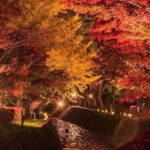 【RETRIP×紅葉】
こちらは、富士河口湖紅葉まつりの様子。11月1日から23日までは、日没から22時まで毎日ライトアップを行なっています。なかでも見所は、も...