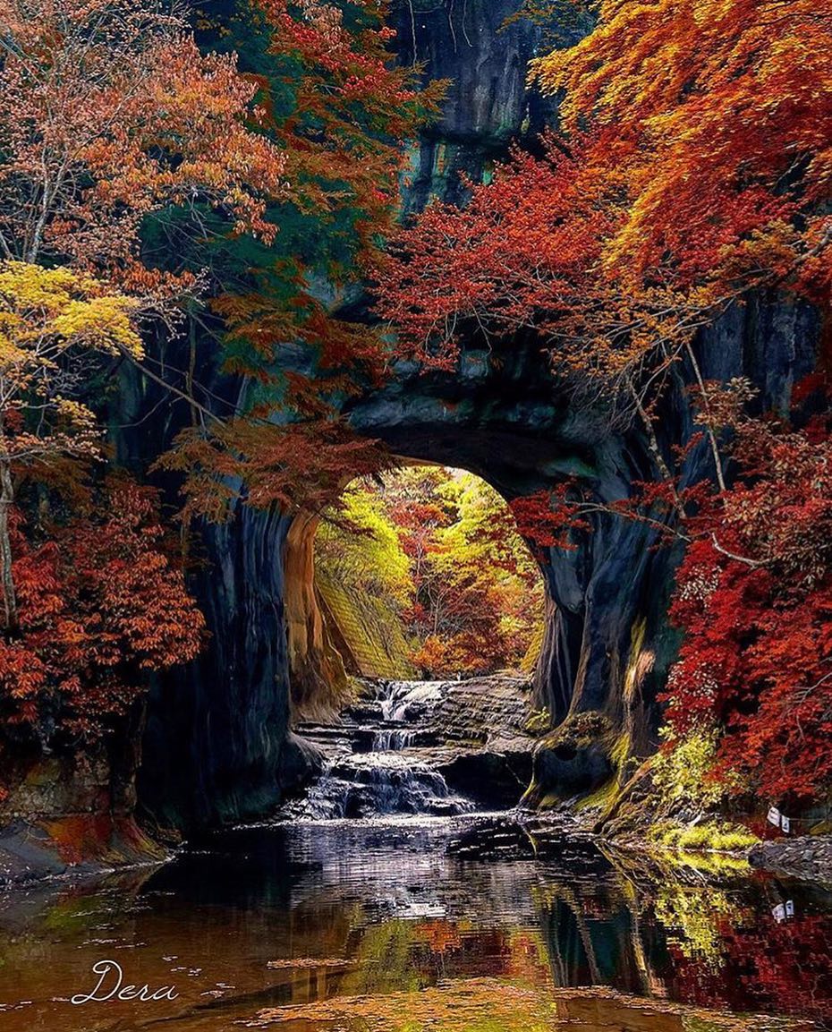 Retrip Nippon Retrip 紅葉 こちらは 千葉県屈指の絶景スポット濃溝の滝 亀岩の洞窟 の紅葉の様子です 滝と紅葉のコラボレーションはとっても美しいですよね 11月下旬 Wacoca Japan People Life Style Retrip Nippon Retrip 紅葉 こちらは 千葉県屈指の絶景スポット濃溝の滝 亀岩の洞窟 の紅葉の様子です 滝と紅葉のコラボレーションはとっても美しいですよね 11月下旬 Wacoca Japan People Life Style