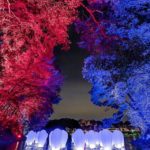 【RETRIP×チームラボ】
こちらは、埼玉県で開催されている「チームラボ 森と湖の光の祭」。12月1日から3月3日までの期間、メッツァビレッジを、チームラボの...