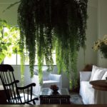 最新号「住まいを、整える」発売中です。
フローリストの山下郁子さん（@tsubaki_tokyo）が暮らす「古くて、心地のいい部屋」は、植物を引き立てるキャン...