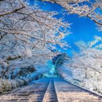 【RETRIP×雪景色】

蹴上駅からすぐのところにある、桜の名所「蹴上インクライン」。雪が積もった白亜の景色がとっても美しいのです。青空と雪景色の美しさコラボ...