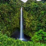 【RETRIP×ハワイ島】
今ハワイ通がこぞって訪れているハワイ島。そんなハワイ島で一度は訪れたいのがこちらの「アカカ滝」です。緑に囲まれながら流れ落ちる滝は迫...