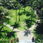 ７月号 #ひとりも楽しいハワイ 発売中！手入れされた芝生が美しい#ロイヤルハワイアンホテル の中庭。上のフロアのエレベーターホールからふと見下ろすと、パームツリ...