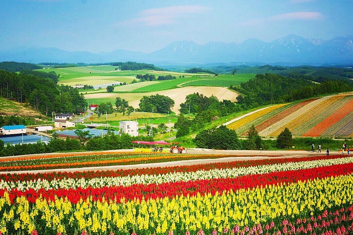 Travelko 夏の旅行先として人気の 北海道 ですが この時期ぜひおすすめしたいのは 美瑛 富良野を中心とする 花の絶景スポット巡り です 美瑛にある 四季彩の丘 Wacoca Japan People Life Style Travelko 夏の旅行先として人気の 北海道 ですが この時期ぜひおすすめしたいのは 美瑛 富良野を中心とする 花の絶景スポット巡り です 美瑛にある 四季彩の丘 Wacoca Japan People Life Style