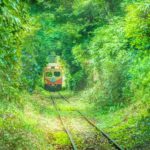【RETRIP×千葉】
千葉県の銚子電鉄では、緑の中を電車が走る幻想的な光景を見ることができます。緑のトンネルはまるでウクライナにある「愛のトンネル」のよう。ウ...
