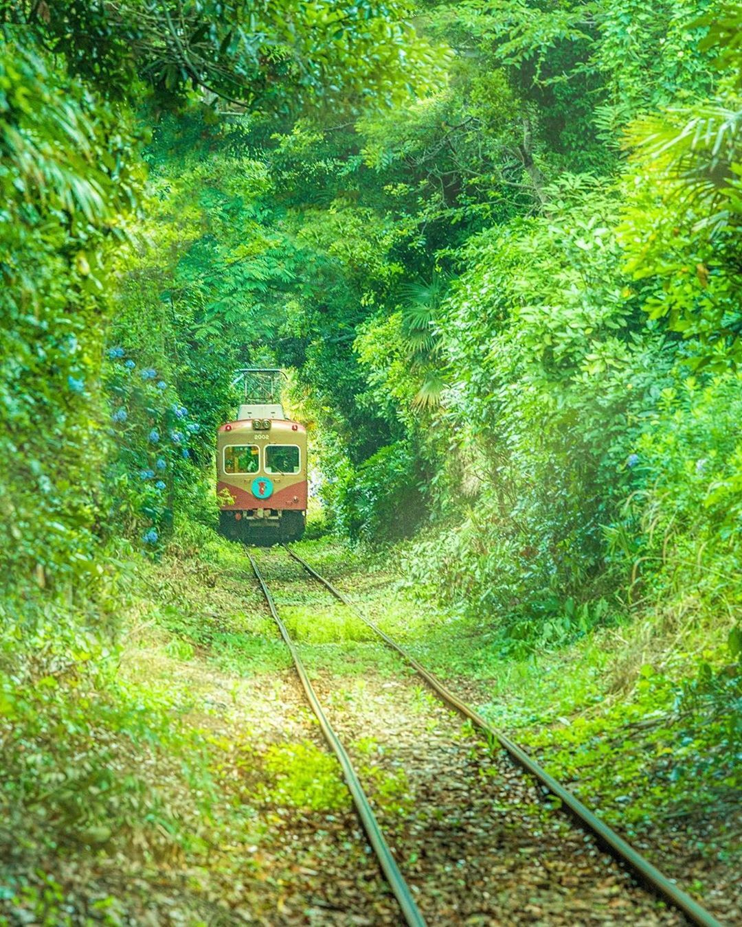 Retrip Nippon Retrip 千葉 千葉県の銚子電鉄では 緑の中を電車が走る幻想的な光景を見ることができます 緑のトンネルはまるで ウクライナにある 愛のトンネル のよう ウ Wacoca Japan People Life Style