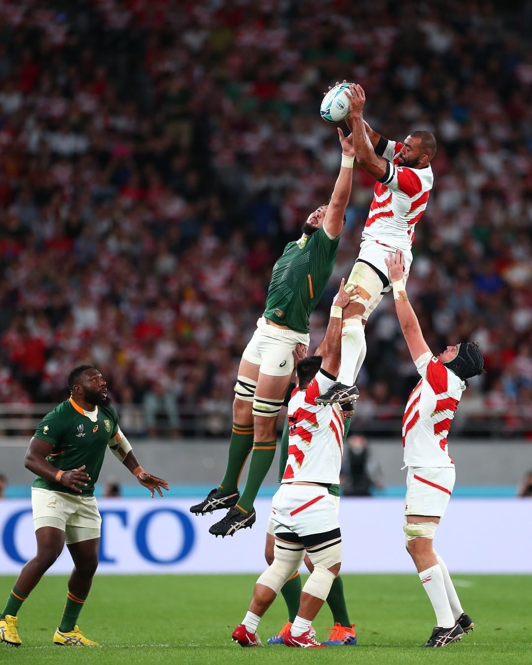 GQJAPAN Japan vs South Africa Photo by Clive Rose World Rugby/World