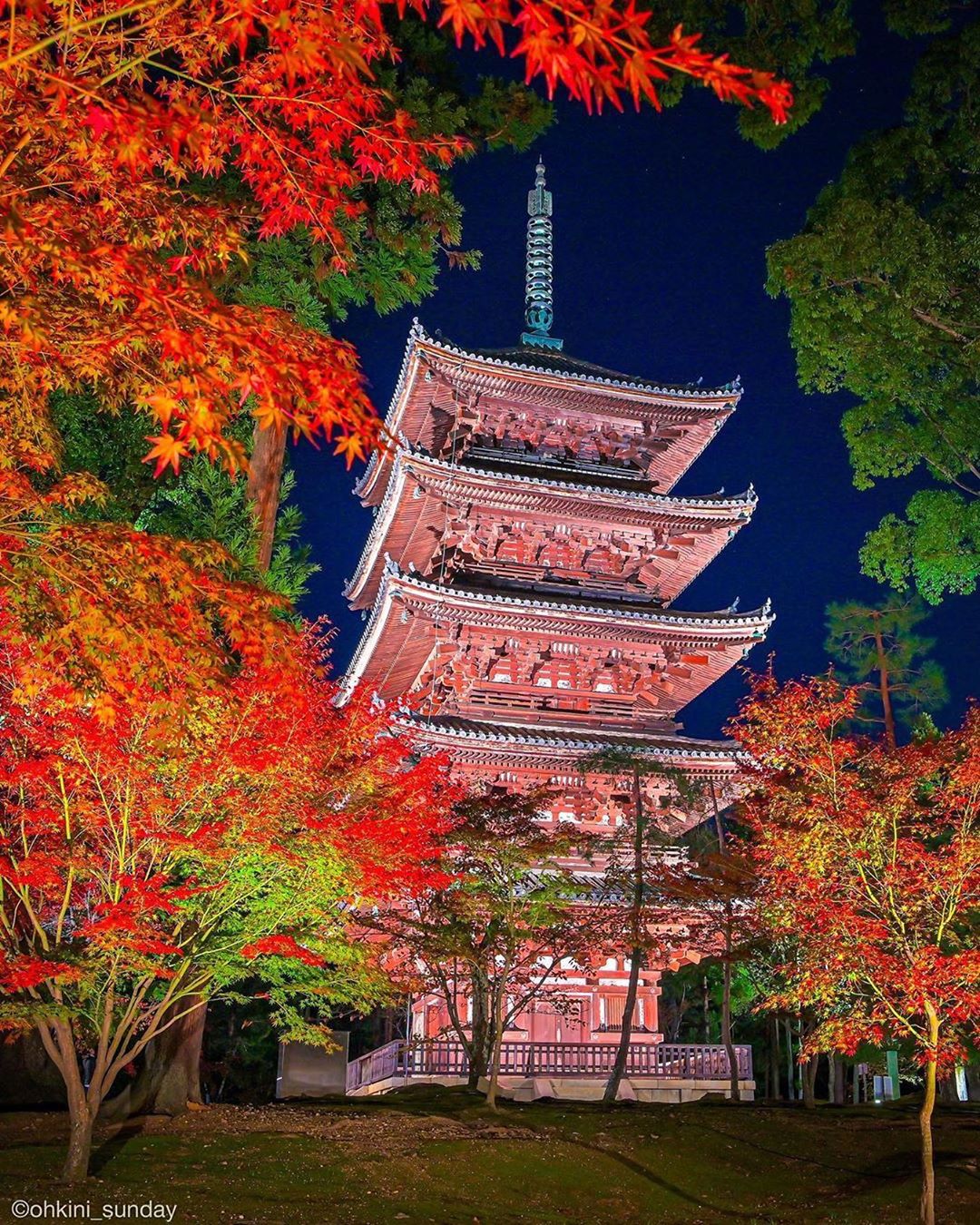 Retrip Kyoto Retrip 京都観光 今回ご紹介するのは 京都の人気観光地 仁和寺 です 19年12月8日まで 紅葉ライトアップが行われています 世界遺産でもあるこ Wacoca Japan People Life Style