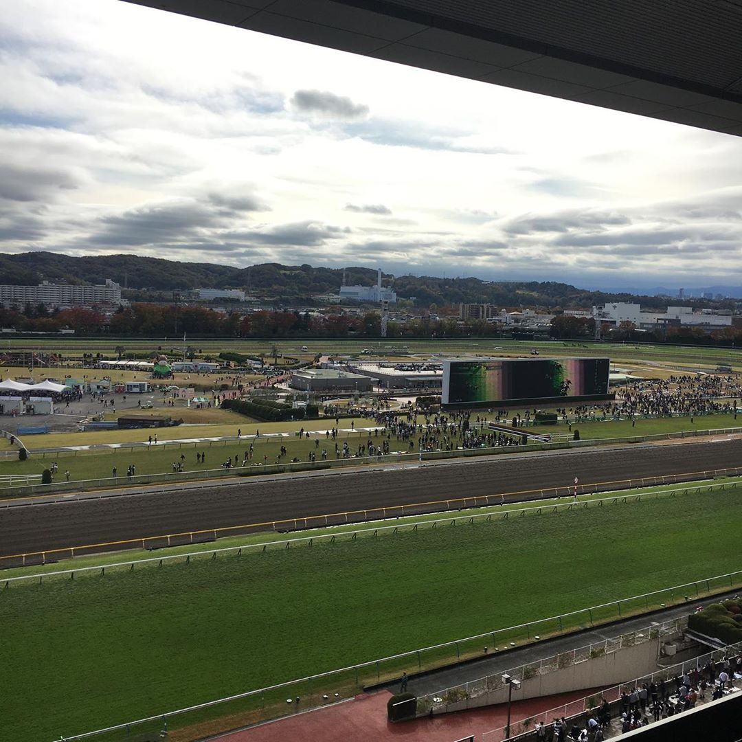 場 東京 天気 競馬 東京競馬場（府中競馬場）の天気（東京都府中市）｜マピオン天気予報