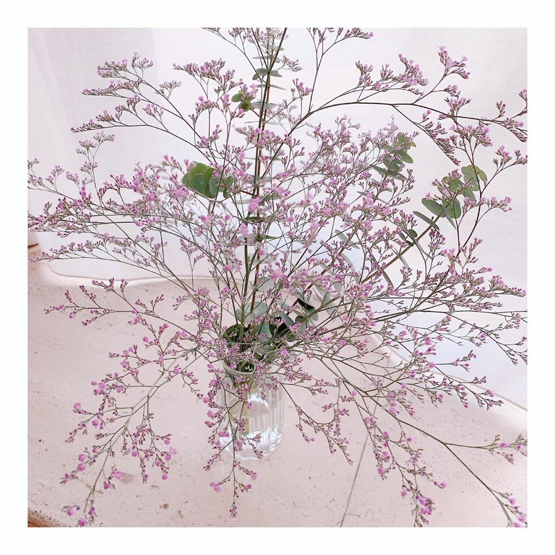 トリンドル玲奈 帰り道にお花屋さんに寄って 一番かわいいと思うのを選び 花言葉を見てみたり 自分の中での最近の楽しみです ユーカリも混ぜてみたから お部屋の香りが Wacoca Japan People Life Style トリンドル玲奈 帰り道にお花屋さんに寄って 一番かわいいと思うのを選び 花言葉を見てみたり 自分の中での最近の楽しみです ユーカリも混ぜてみたから お部屋の香りが Wacoca Japan People Life Style