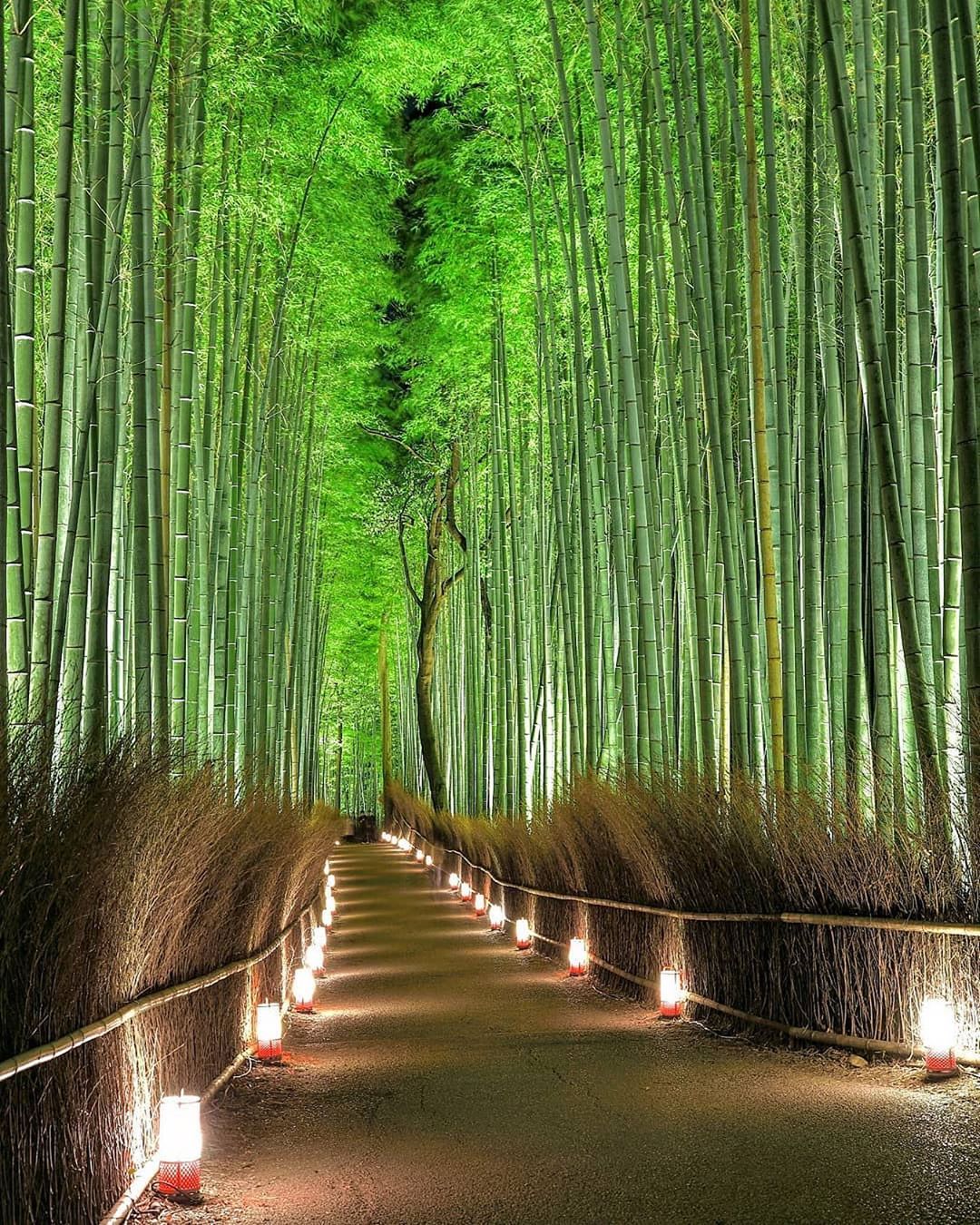 Retrip News Retrip 嵐山 京都の嵯峨 嵐山地域で 京都 嵐山花灯路 19 が昨日から始まりました 渡月橋 を始め 文化施設や自然が美しくライトアップされています Wacoca Japan People Life Style