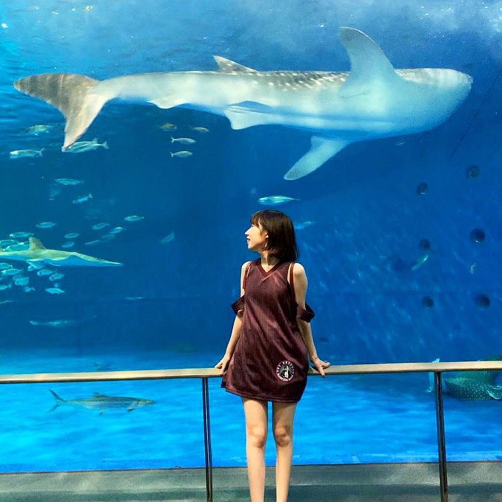 いおワールドかごしま水族館 - WACOCA JAPAN: People, Life, Style