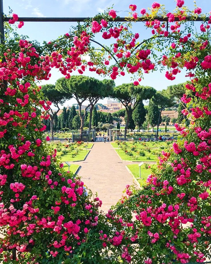 Retrip Global Retrip イタリア ハッピーバレンタイン ピンクとハートの可愛い景色は ローマバラ園 で見ることができます 歴史ある庭園で 古代遺跡をバックに優雅な気分 Wacoca Japan People Life Style